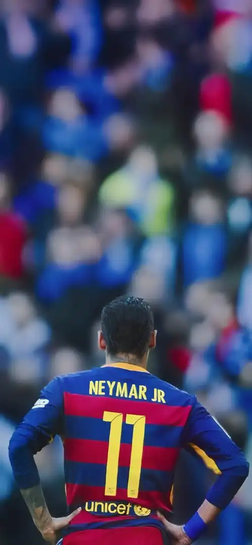 在足球的世 在足球的世